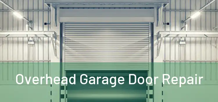  Overhead Garage Door Repair 